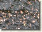 Geld in Wasser bei Gluecksbruecke * 1600 x 1200 * (400KB)